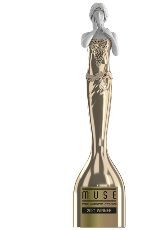 codesign_award_muse-gold-2020